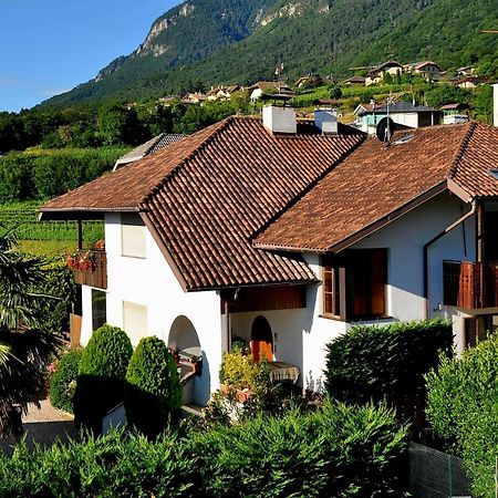 Urlaub Auf Dem Bauernhof Schmidhof - Grosse Terrasse, Pool Und Beste Lage Caldaro sulla Strada del Vino Exterior foto